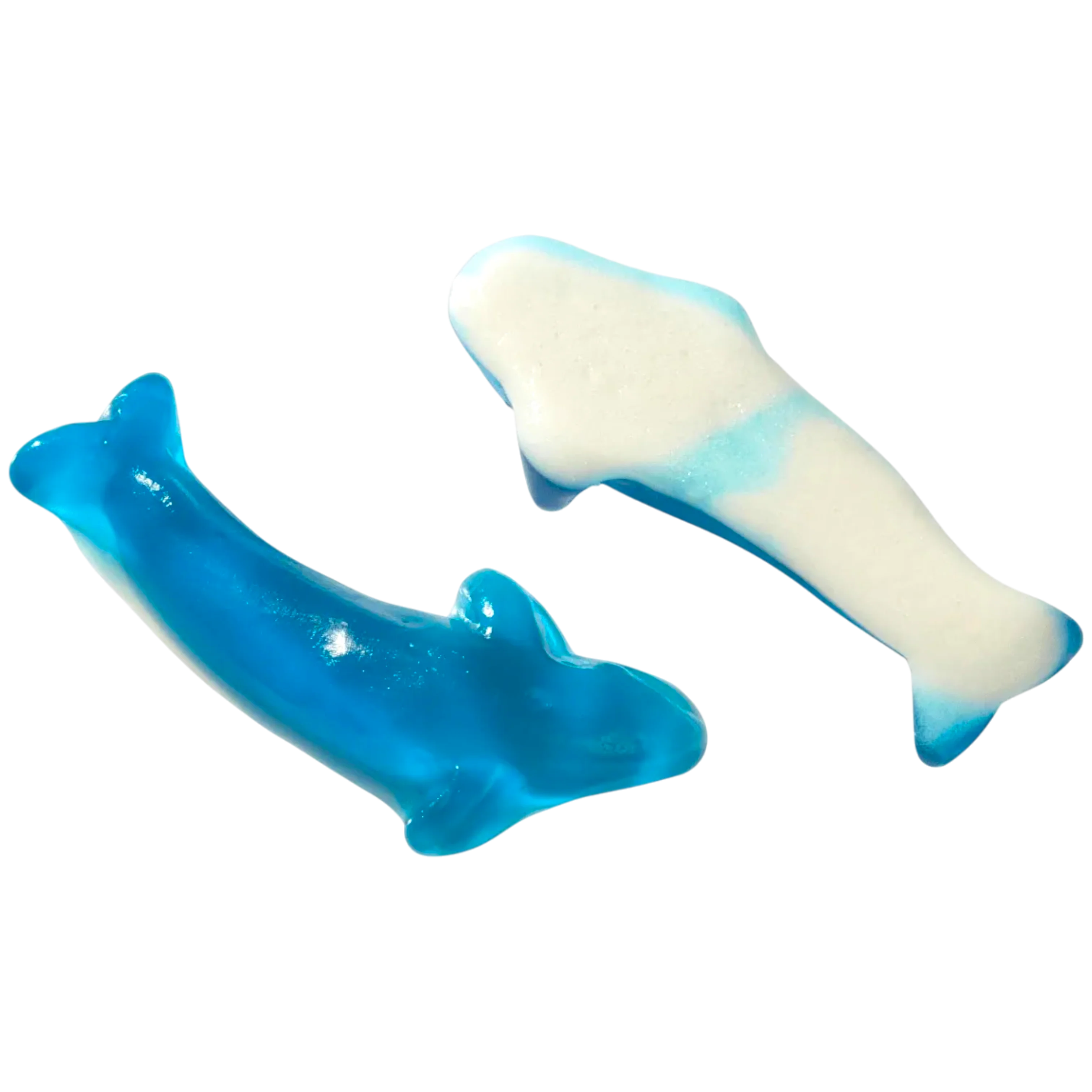 Blue Whales - Image 2