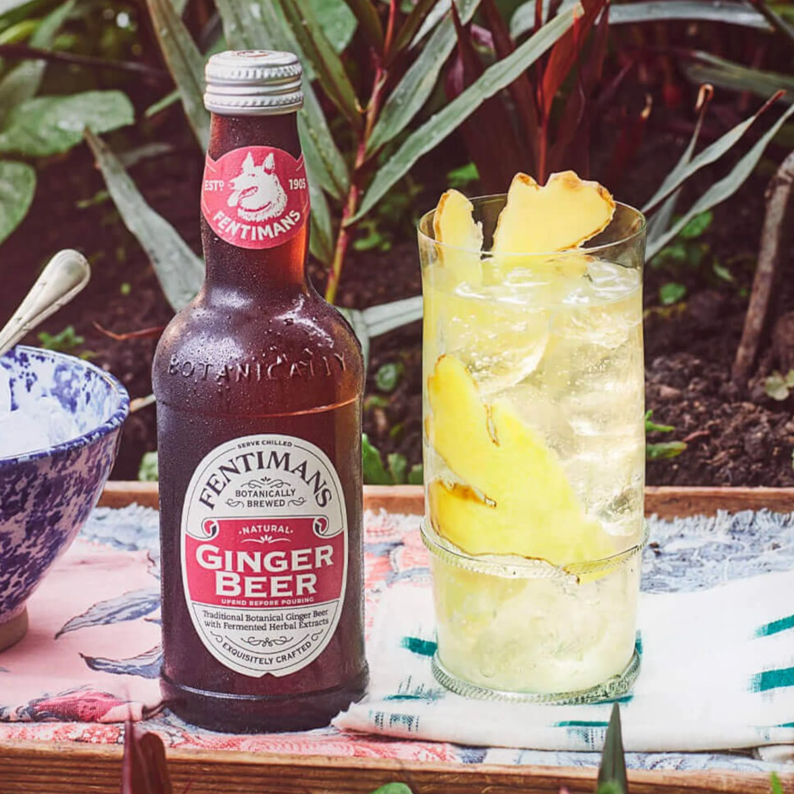 Fentimans Classic Ginger Beer (British) - 9.3fl.oz (275ml) - Image 2