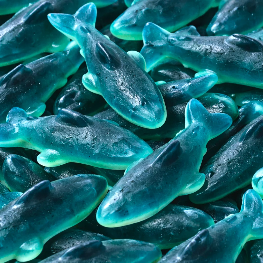 Giant Blue Sharks