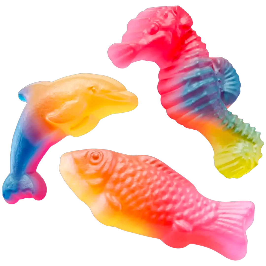 Rainbow Sea Life