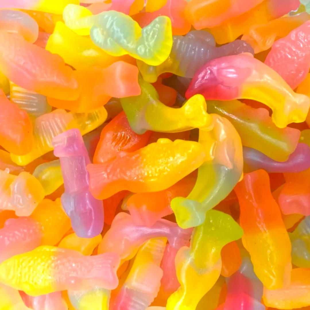 Rainbow Sea Life - Image 2