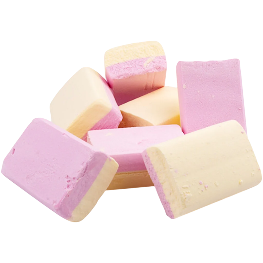 Vanilla Sherbet Ice Blocks - Image 2